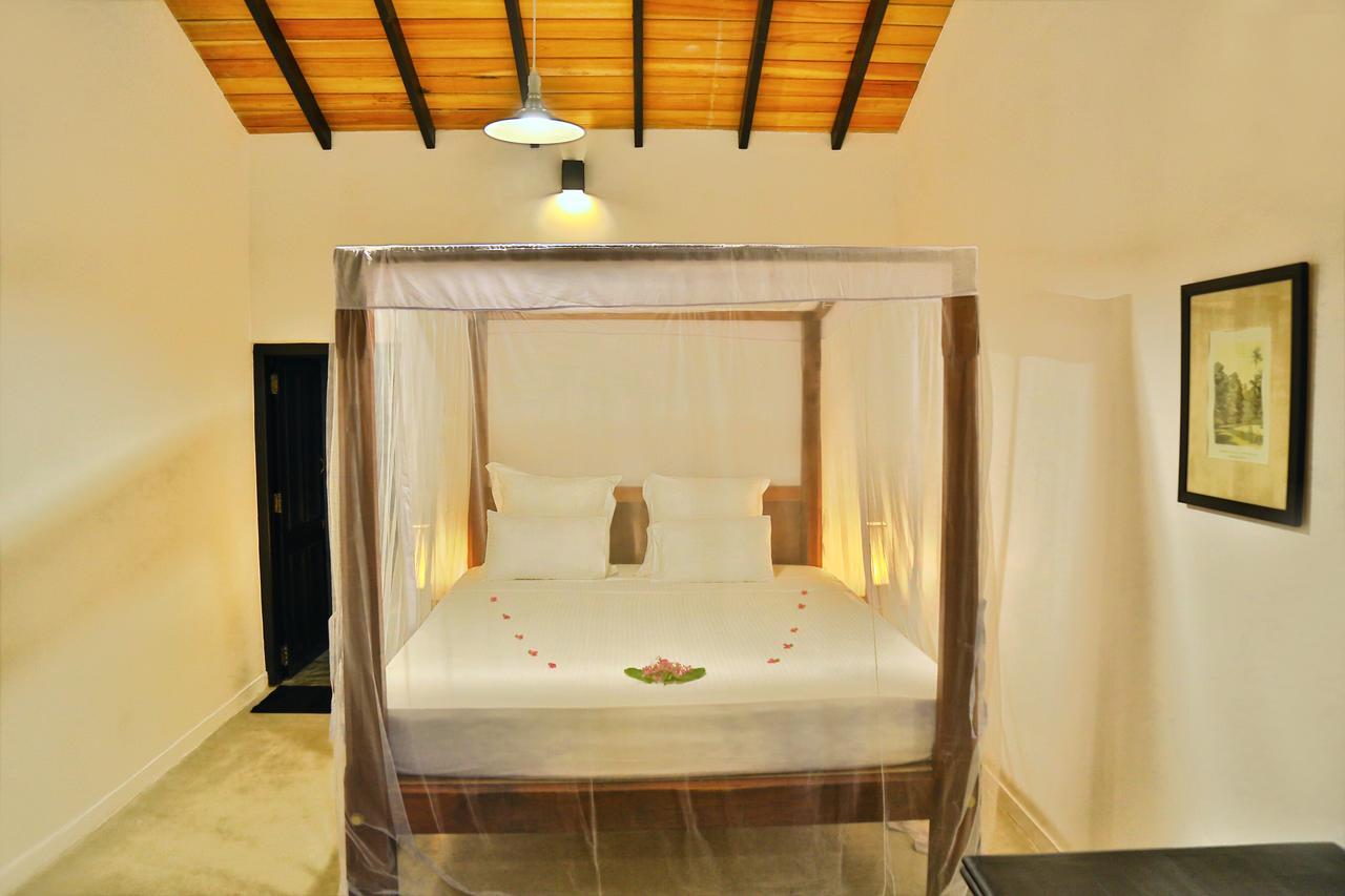 Blue Parrot Beach Villa Ambalangoda  Buitenkant foto